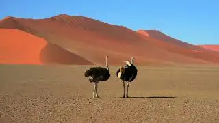 Namibie