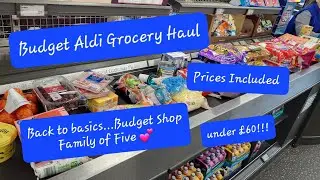 Budget Aldi Grocery Haul | Under &pound;60! | Back to Basics | UK Family of 5