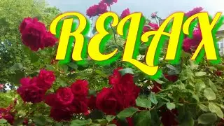 Relaxing Music Healing for The Body Soul Meditation Balance  Harmony Музыка Для Медитации и Сна