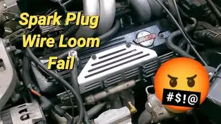 Spark Plug Wire Loom Problems and Disappointments. 😠