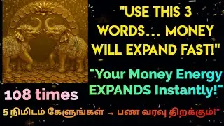 💰Powerful Wealth Switch Words for Success & Cashflow@MoneyMiraclezone #moneyaffirmations#money 