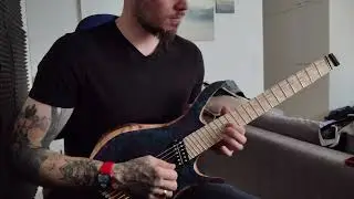Whitechapel - Kin (end solo cover)