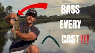Bass Went Crazy for THIS Lure!