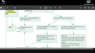 Reduced fetal movements #mrcog #drripa #rcog
