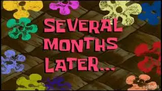 Several Months Later...