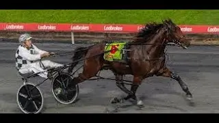 2026 Woodlands Stud Ballarat Pacing Cup G2 2710M Ballarat Australia : Leap To Fame (1:54:4)