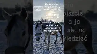 organizuje Q&A! #horse #wybijsie #equestrian #fypシ #QandA #questionandanswer #ride #horseriding