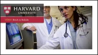 Bench to Bedside - Innovation at Harvard