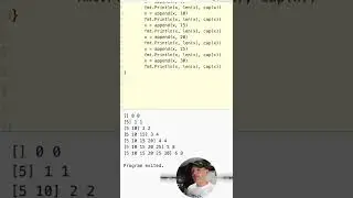 Resizing Slices in Go 