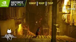GTX 750 Ti | STRAY | 1080p, 900p & 720p - All Settings
