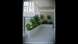 Balcony garden design with plants and flowers for home vitality