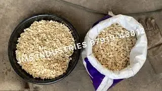 Cashew Nuts Washing Machine | Dry Fruits Washing Machine | Batch Type Washing Machine| coimbatore