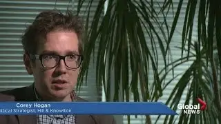 Political expert weighs in on strategic voting campaigns