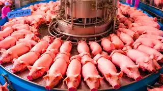 24 Amazing  Videos Agricultural Processing Line👍🏻 The Factory That Transforms Farmer Agriculture
