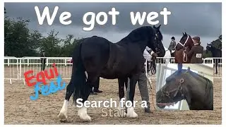 1 horse, 1 venue, 1 day and 2 shows | Equifest 2023 and Search for a star