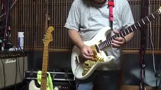Tokai SD653＆Ibanez TS808&FC10 FATCAT