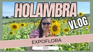 Aprecie a Beleza da Expoflora Holambra 2023! Bate e volta e custos.