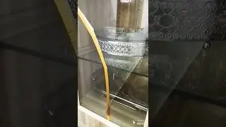 WOW WHAT AN IDEA FOR REPAIR A CRACKED GLASS   ll SMART BUDGET SAVING GLASS REPAIR IDEA ll