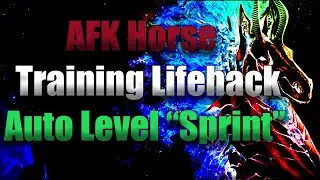 AFK Horse Training Tips | Level Up 