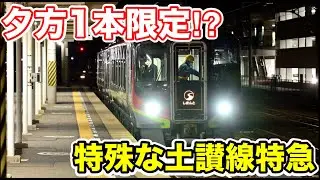【夕方1本しか見られない⁉︎】特殊な土讃線特急に乗ってみた