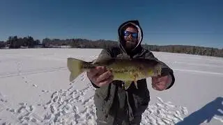 First Time Ice Fishing Montage: Hook Sets, Bass, and Missed Fish