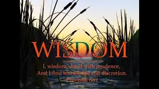7 Pillars Of Wisdom: Knowledge and Discretion