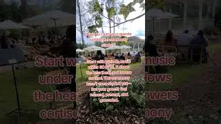 Wedding Prelude music || best Violinist in Atlanta