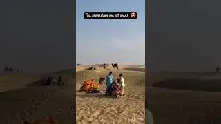 #capture #love #traveling #trip #friends #rajasthan #explore #blogging #shortsvideo #vibes #beauty