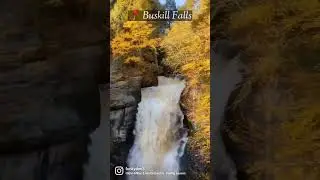 FunkyDen Shorts | One day trip | Bushkill Falls | Niagara of Pennsylvania|