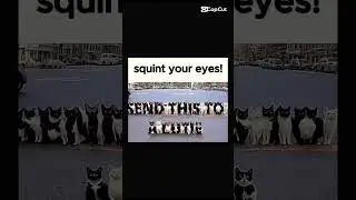 Squint To Read #shorts #shortvideo #edit #funny #funnyvideo #youtubeshorts #trending #trendingshorts