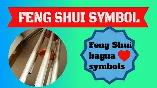 Feng Shui Animals -The Four Celestial Animals Of Feng Shui