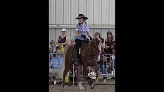 Gaited Horses - Why Some Gait Easily and Some Do Not