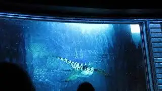 850=Sławutówko KINO 6D
