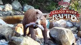 Calico River Rapids Grand Opening at Knott's Berry Farm (Garner Holt Speaks Briefly at the End)