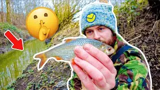 Micro Fishing a SECRET STREAM 🤫 The Best Session EVER!?