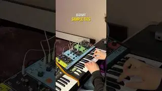 #samplethis 150 bpm #moog #mooggrandmother #subsequent25 #moogsubsequent25 #freesample #sample