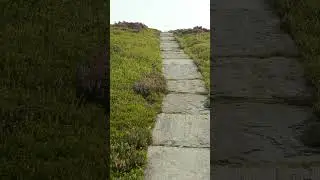 Jump scares in the Peak District 😉 - #IYKYK #hiking #countrywalks #halloween #jumpscare