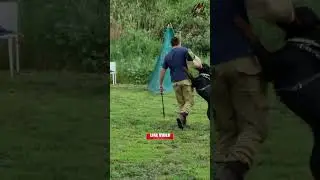 Rottweiler vs Husky Real Fight Of 2024 | Which Dog Is Better For You | Wildlife Claws