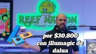 &Aacute;rmate un acuario marino TOP | Equipo premium + econ&oacute;mico que s&iacute; funciona