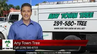 Any Town Tree Reviews - 5 Stars for Tree Service in Naples