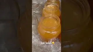 Sidr honey #sidrhoney #fapour