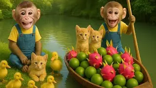 Monkey Bim Bim feeds goats grass, ducks water, cats milk, and harvests dragon fruit on the boat