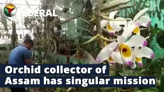 Ankur Raj Gogoi, Assam&rsquo;s orchid man who has collected rare species from 27 countries | The Federal