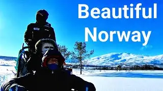 tromso husky sledging adventure movie