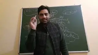 Energy in SHM by C B Sir