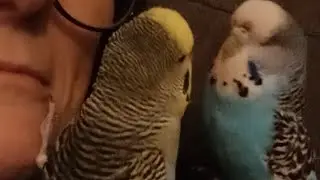 I Suppose I'm Just a Leaning Post?