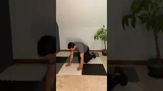 Quadruped Opposite Arm/Leg Raise