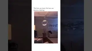 BatDog: The Bark Night Rises
