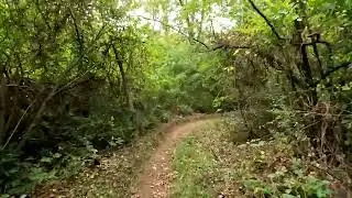 Stevens Park, Allamuchy, NJ: The Cooler/Trestle Bomber [Fall Equinox] (9/22/2025)