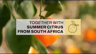 Shipping citrus with Summer Citrus: Customer Story | MSC